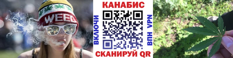 Бошки Шишки гибрид  Купить где  Кирсанов 